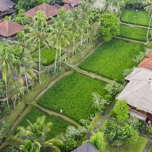 Ananda 4*, Ubud Endonezya